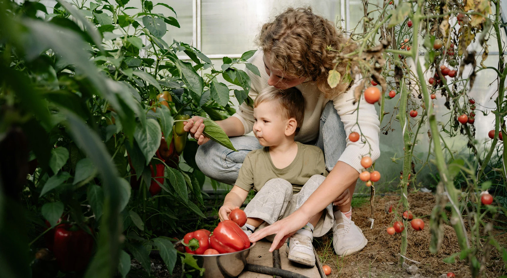 Growing fresh food in a productive garden
