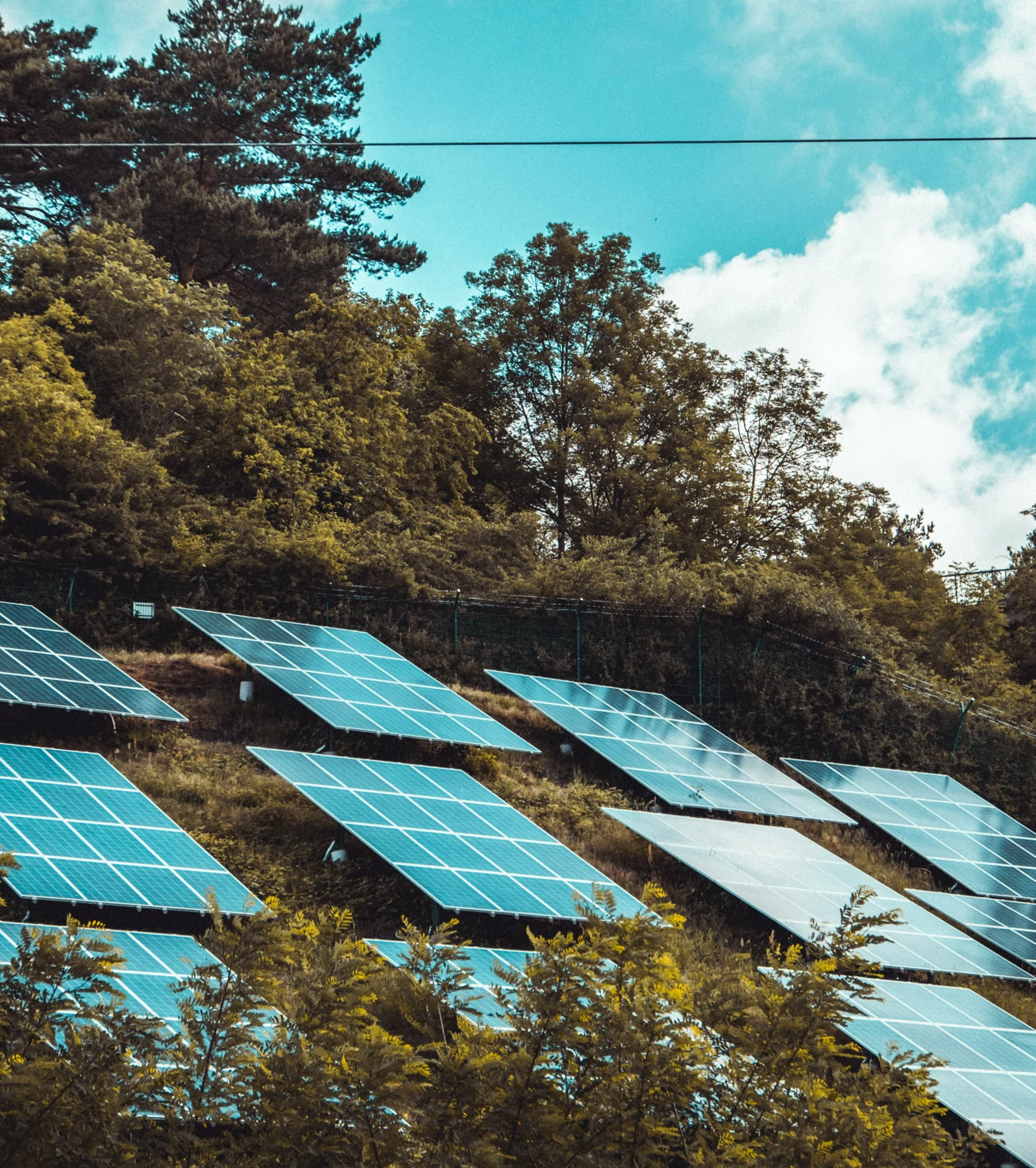 Renewable solar energy within a green landscape
