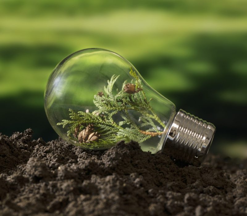 sustainable-development-goals-still-life